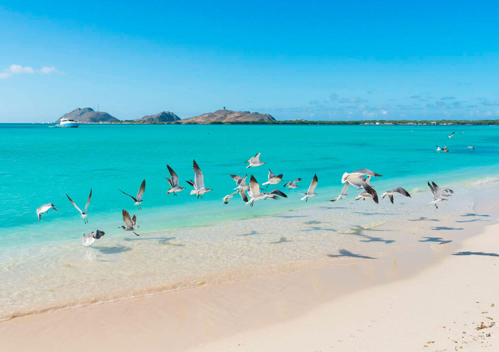 Beach-in-Los-Roques-Venezuela-TheGoldenShelter.es